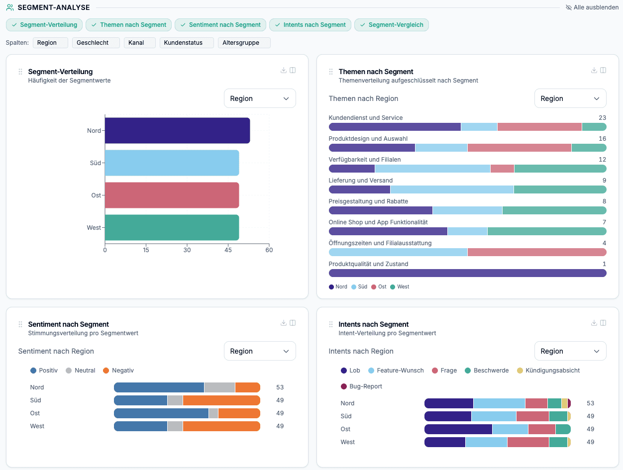 Segment-Analyse: Verteilung, Themen, Sentiment und Intents nach Region